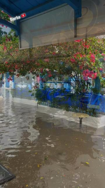 @watoufa🇹🇳