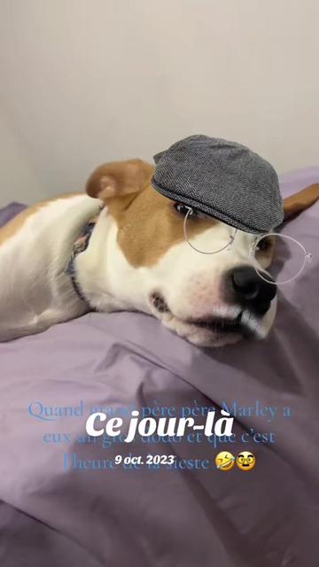 @✨️👑DENISTHEROUX👑✨️