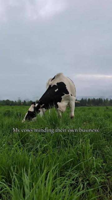 @Lydia Charron | Ag Twin Mama
