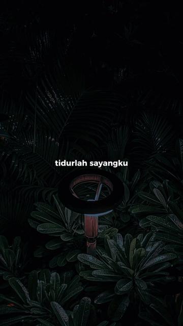 @โ๐๐๐_๐๐๐๐๐๐๐๐โ