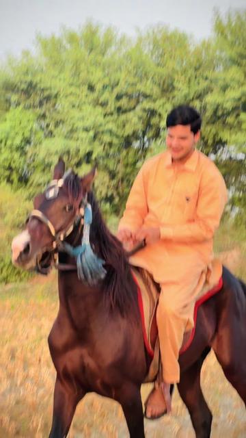 @ladlabhatti