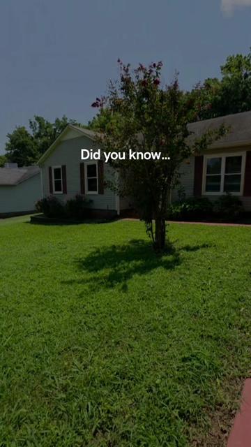 @Krista Davis