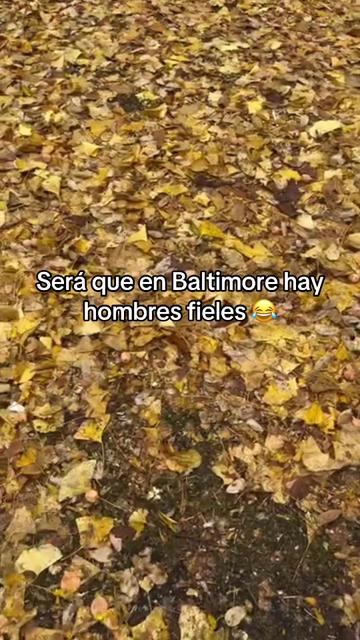 @🥾💞SAMMY💞🌻