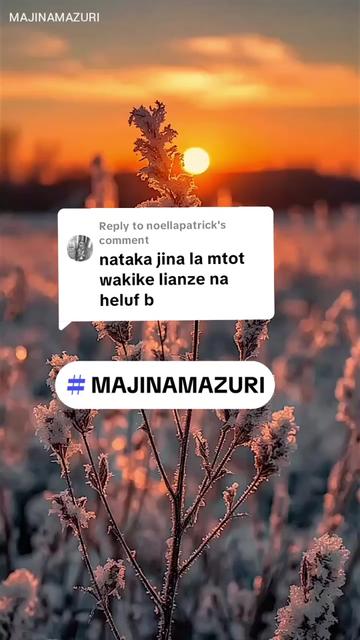 @MAJINAMAZURI FX CRYPTO TZ
