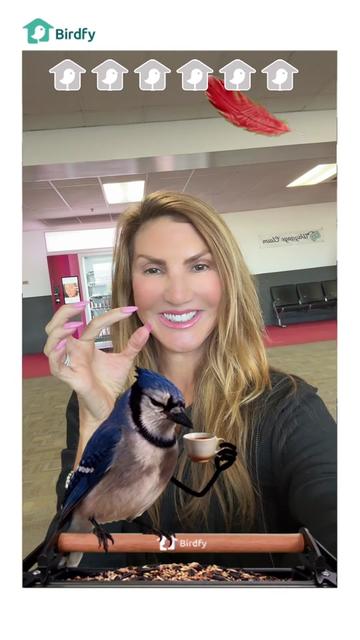 @heathermcdonald