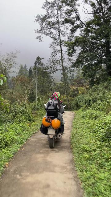 @Tu Phamm