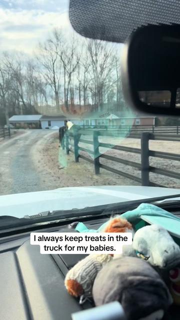 @southerncharmcarriages