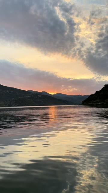 @Queen T 👑