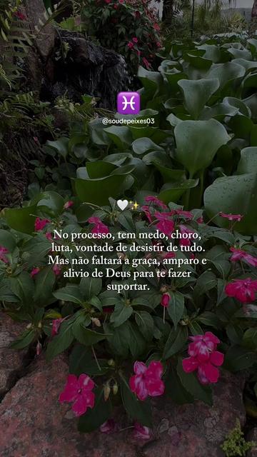 @soudepeixes