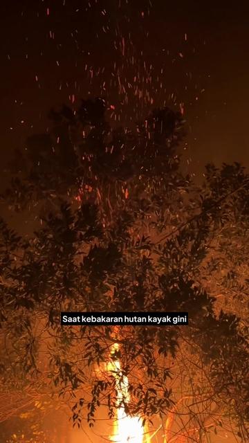 @alwijo