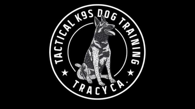 @Tactical K9s Dog Training
