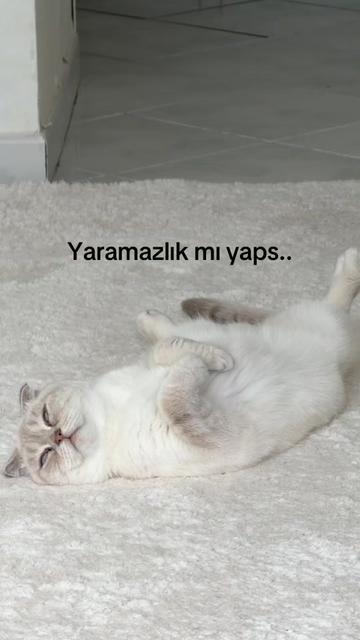 @Tuğba🫒