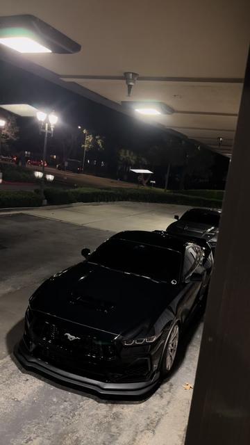 @alt_pony