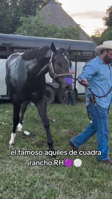 @carriles altos de jalisco🐎