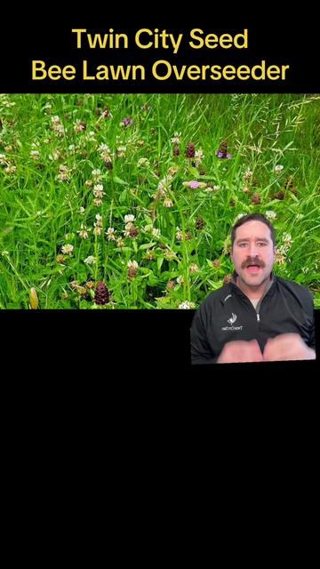 @Twincityseed