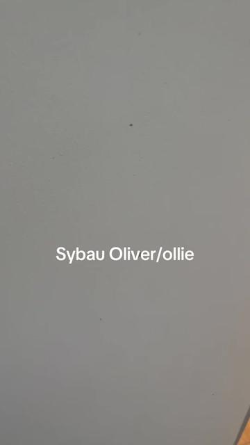 @sybau_names