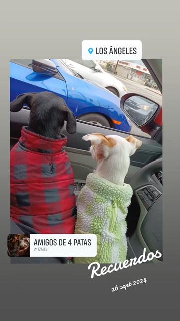 @Aguirre Aguirre 503
