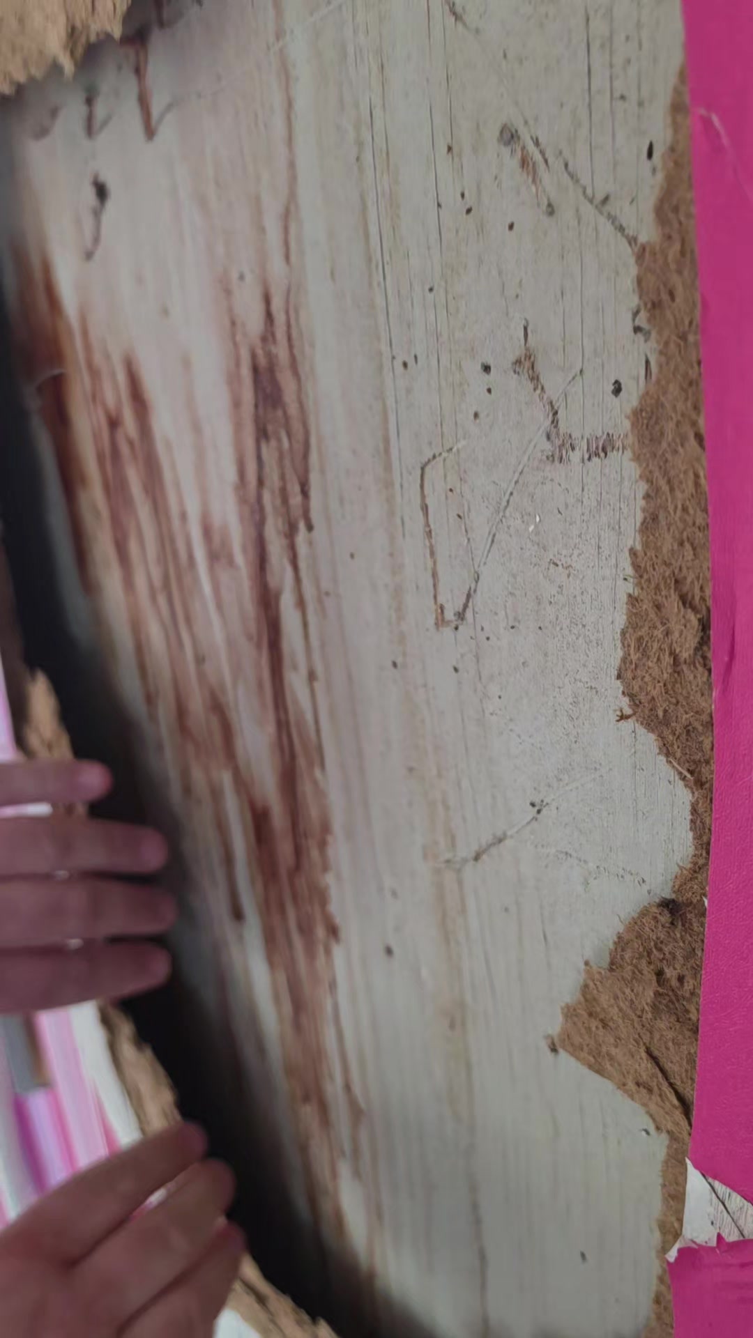 @Megan-Alexandra 💖
