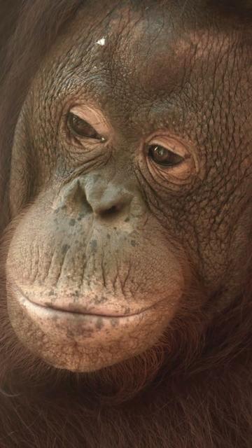 @Kai Meyer | Wildlife Filmmaker