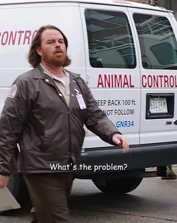 @Vizhuals