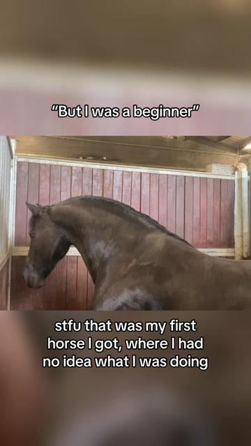 @SchimmelponyParadise