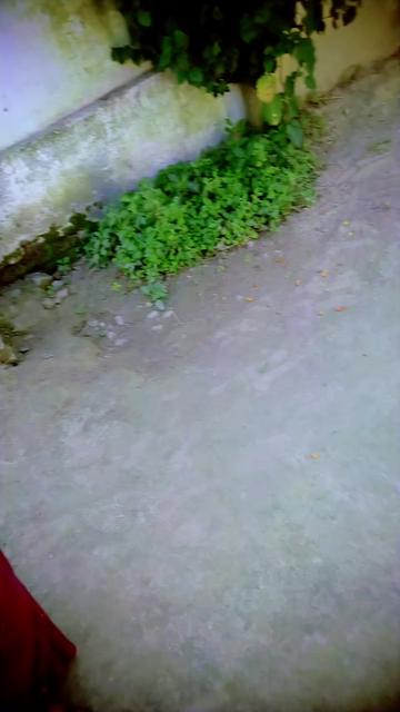 @Ranju kushwaha