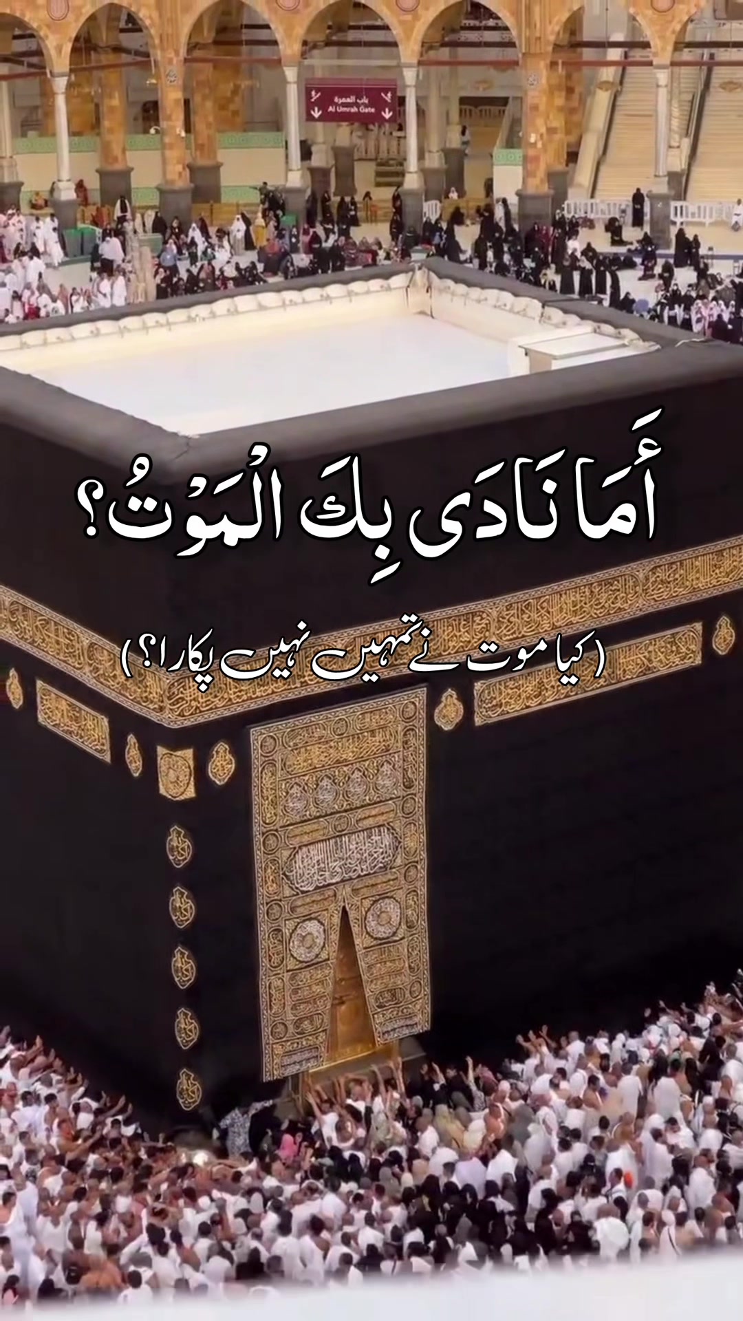 @❣️ Words of Allah ❣️