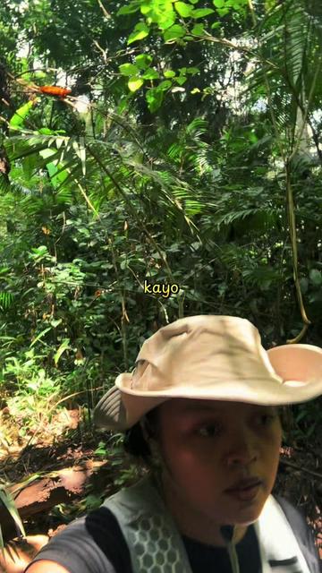 @yt: kalma outdoorx