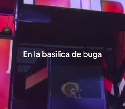 @chismoloco