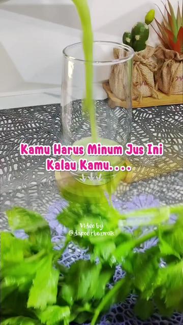 @dapoerbunmik