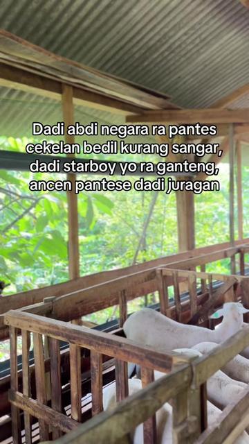 @DhanniaFarm