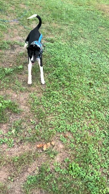 @Chloe 🥰💕❤️💗