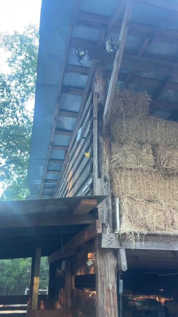 @Gray Acres Homestead