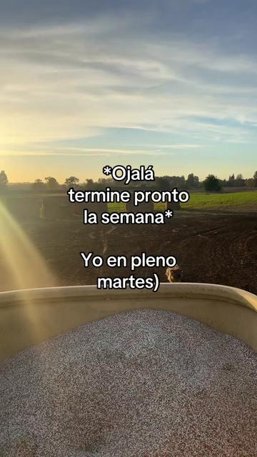 @🍓🪗✨pablocarbajal63⚜️👽🍓