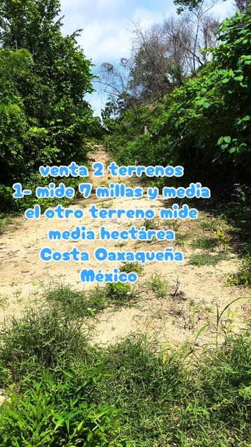 @caballeroviajero0317