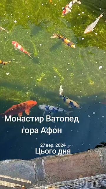 @Андрій Закарпаття🥰🥰🥰