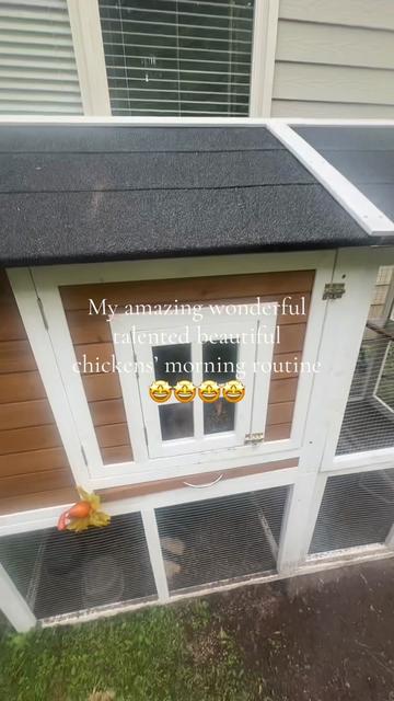 @🎀