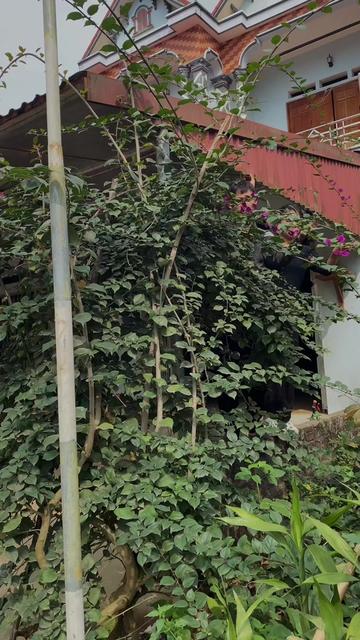 @B&eacute; Thoại