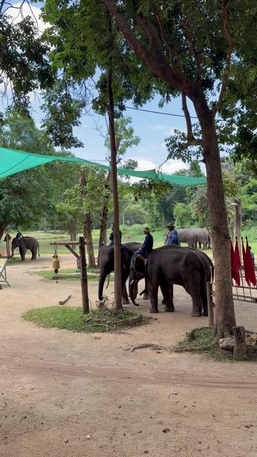 @Qvy Boonchanawiwat