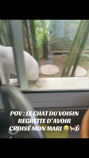 @amour et b&ecirc;tise : le duo fou💍