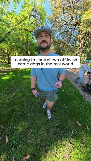 @forthedogs