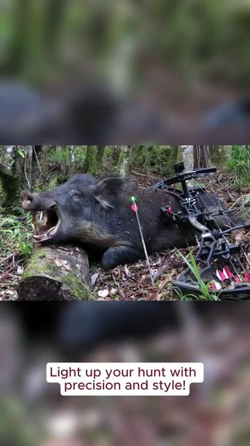 @JianZD