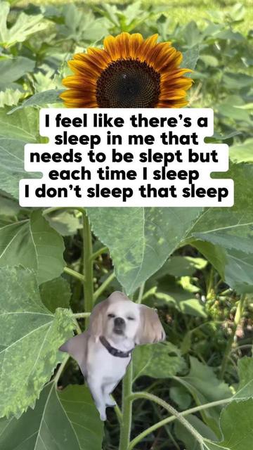 @Boredouttamymind
