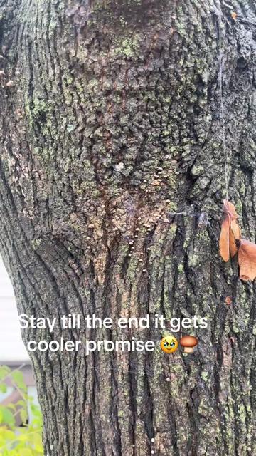 @Lil.bitxch444