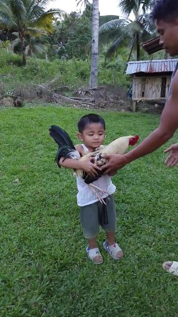 @wisthleefarm