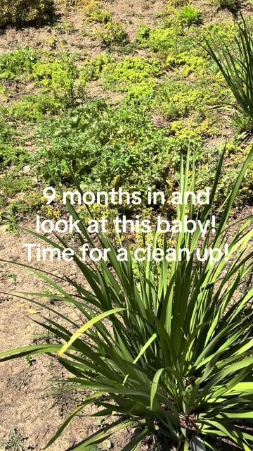 @firmlyplanteddesigns