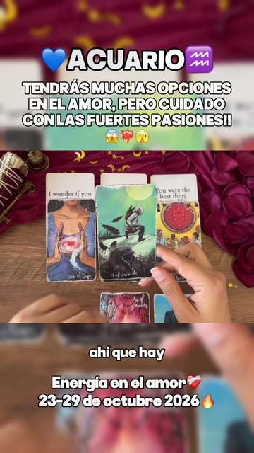 @Andy Sun Tarot ☀️