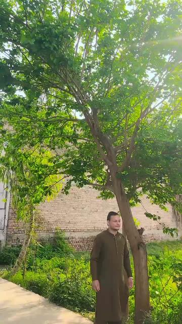 @Atta ullah 1195