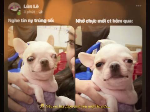 @Lún Lè👽