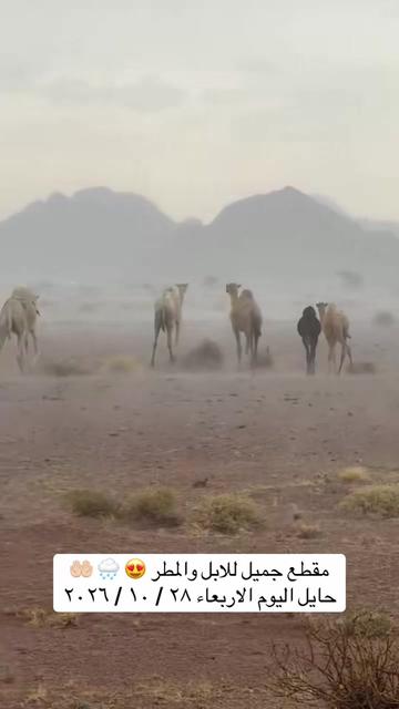 @المكشات